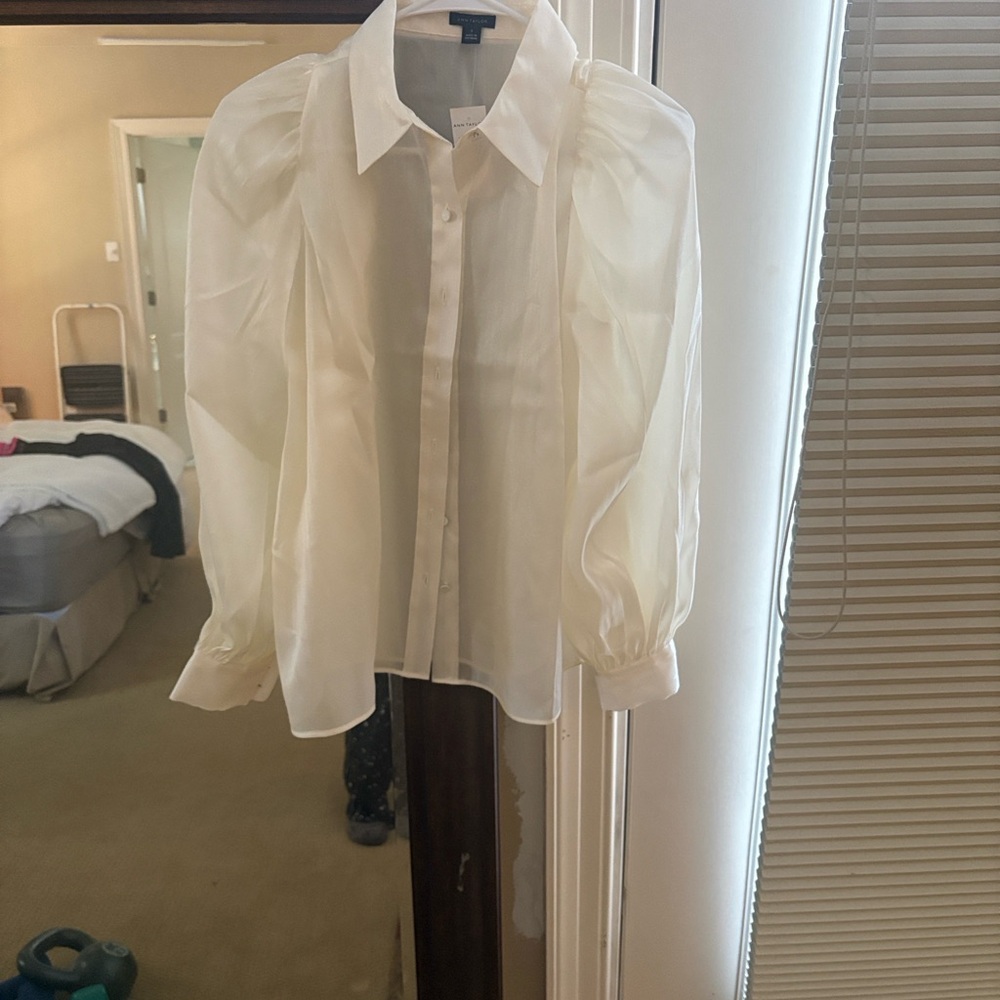 Ann Taylor Ivory Sheer Blouse